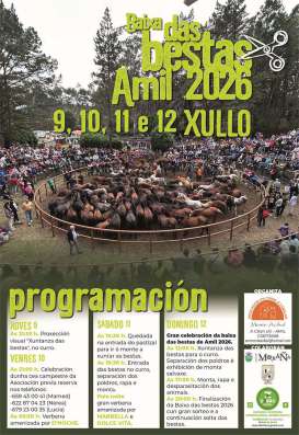 Cartel de la bajada de las bestas de Amil en Moraña 2026